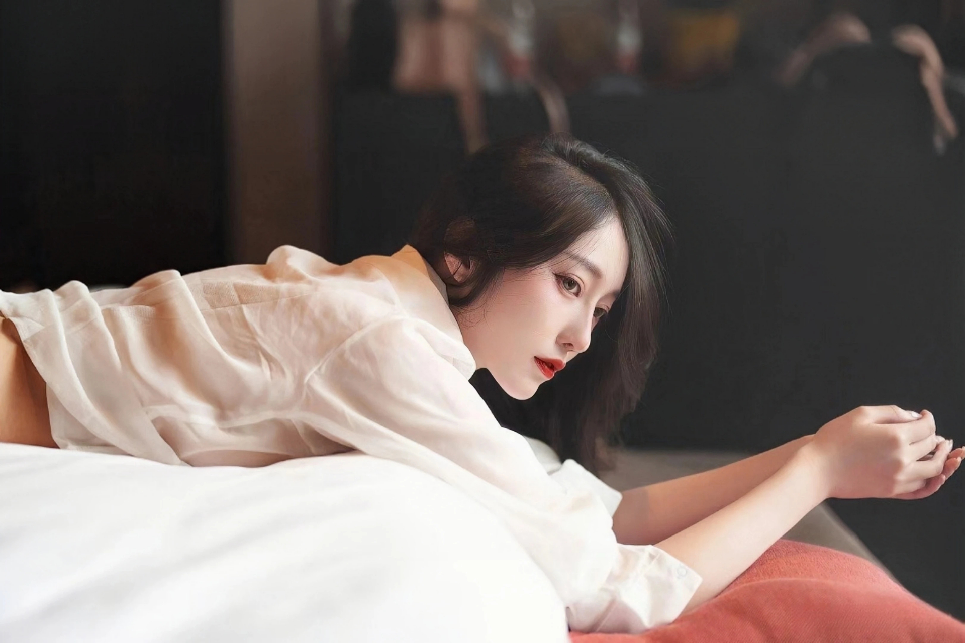 国家二级重点保护野生植物茶果樟在云南新增多个分布点